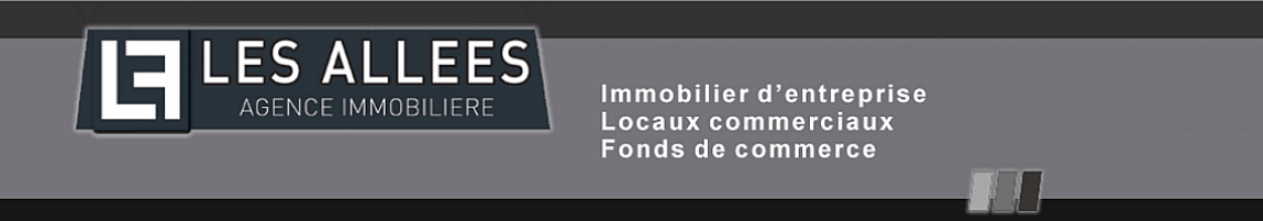 [LES ALLEES AGENCE IMMOBILIERE]